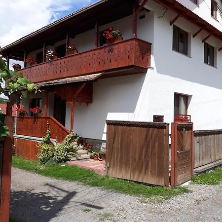Molnar Vendeghaz Bed and Breakfast Praid Buitenkant foto