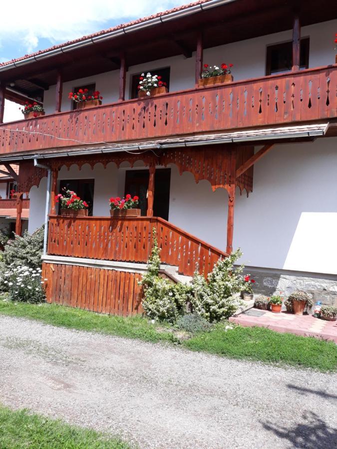 Molnar Vendeghaz Bed and Breakfast Praid Buitenkant foto