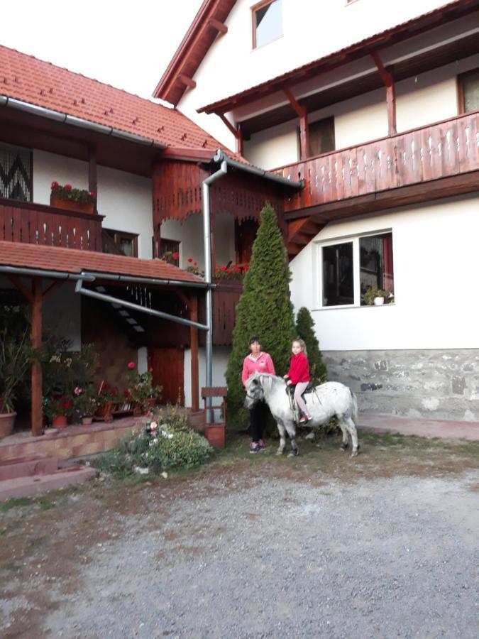 Molnar Vendeghaz Bed and Breakfast Praid Buitenkant foto