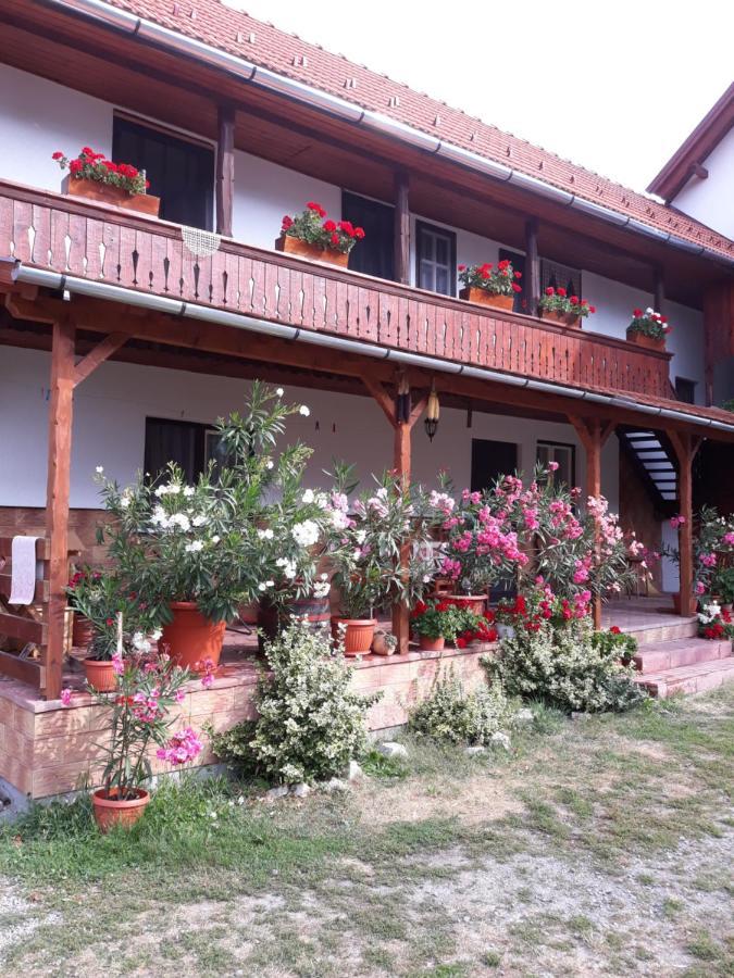 Molnar Vendeghaz Bed and Breakfast Praid Buitenkant foto