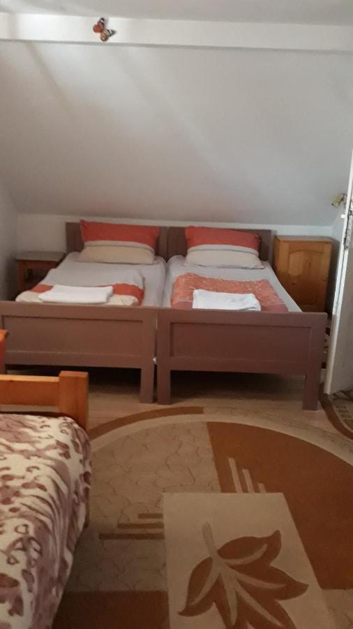 Molnar Vendeghaz Bed and Breakfast Praid Buitenkant foto