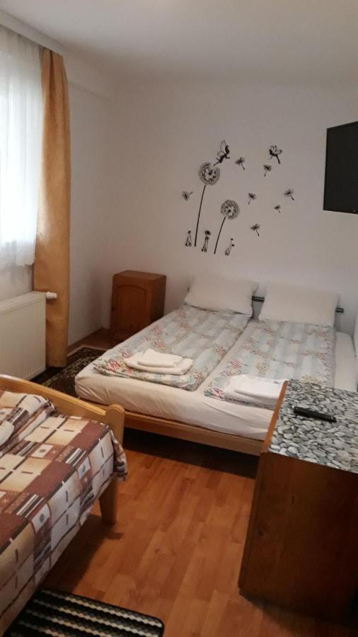 Molnar Vendeghaz Bed and Breakfast Praid Buitenkant foto